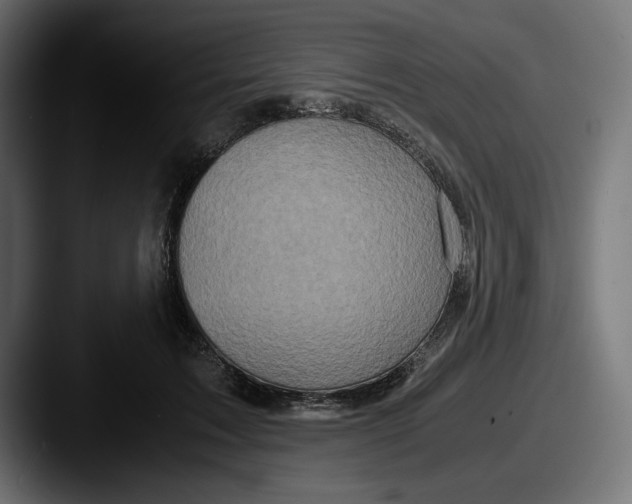 X0000087520603200705181014