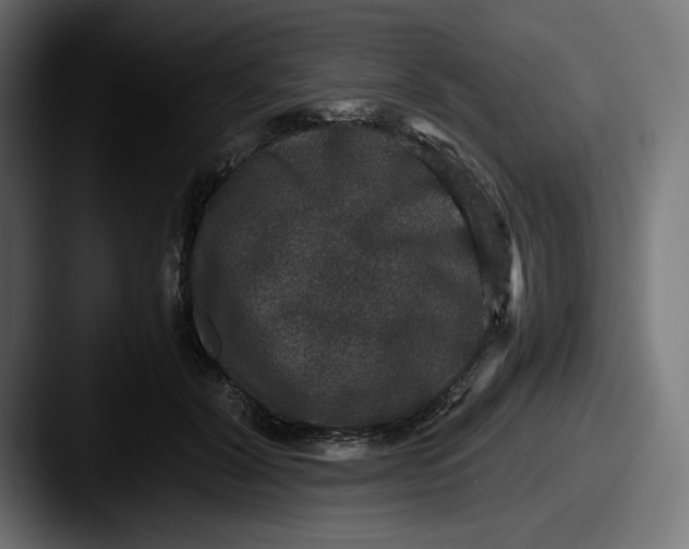 X0000087520604200705181014