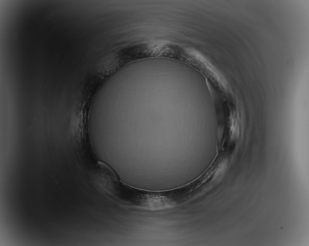 X0000087520605200705181014