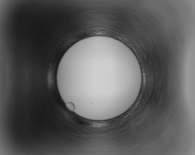 X0000087520606200705181014