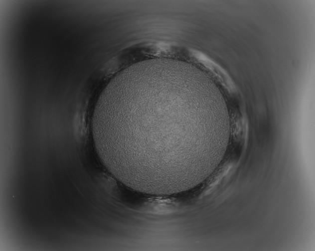 X0000087520607200705181014