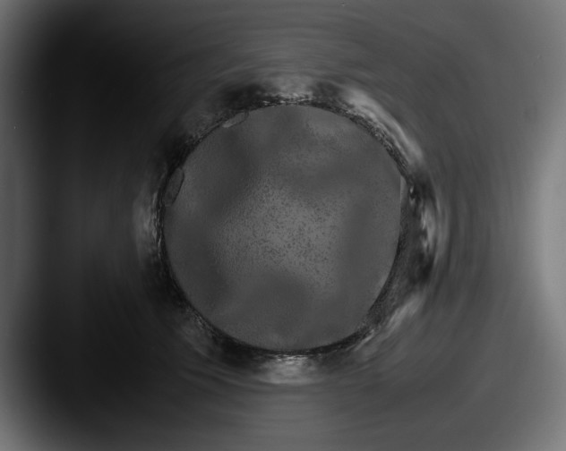 X0000087520609200705181014