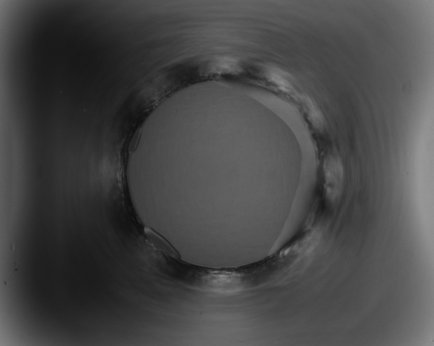 X0000087520617200705181013