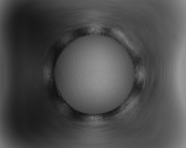 X0000087520619200705181013