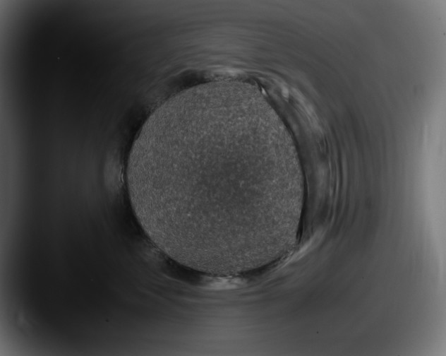 X0000087520621200705181013