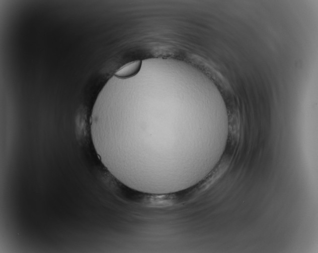 X0000087520622200705181013