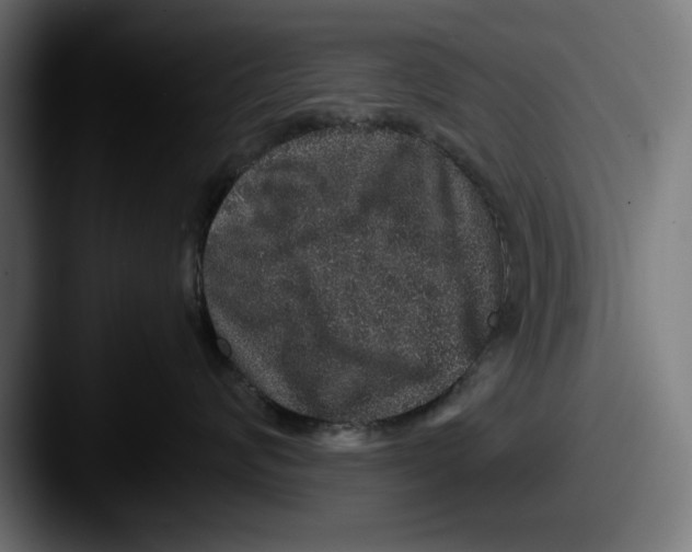 X0000087520624200705181013