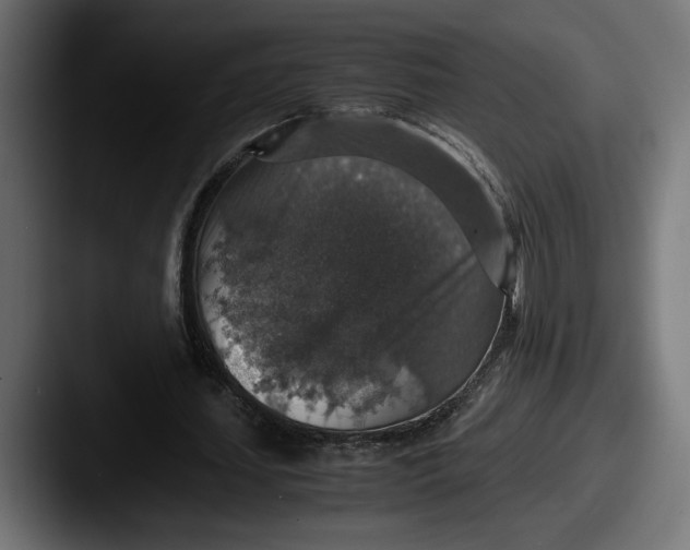 X0000087520627200705181013