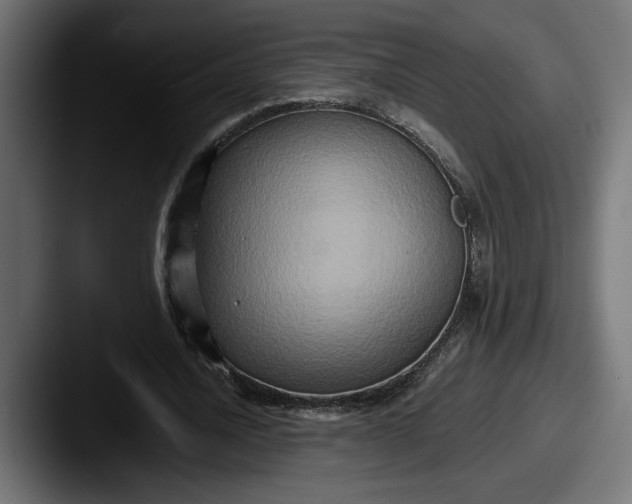 X0000087520628200705181013