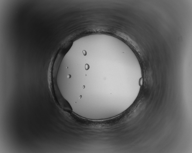 X0000087520629200705181013