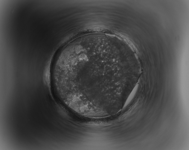 X0000087520630200705181013