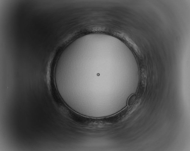 X0000087520631200705181013