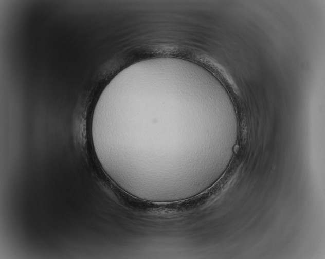 X0000087520633200705181013