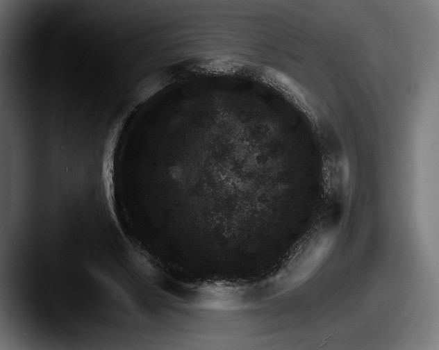 X0000087520634200705181013