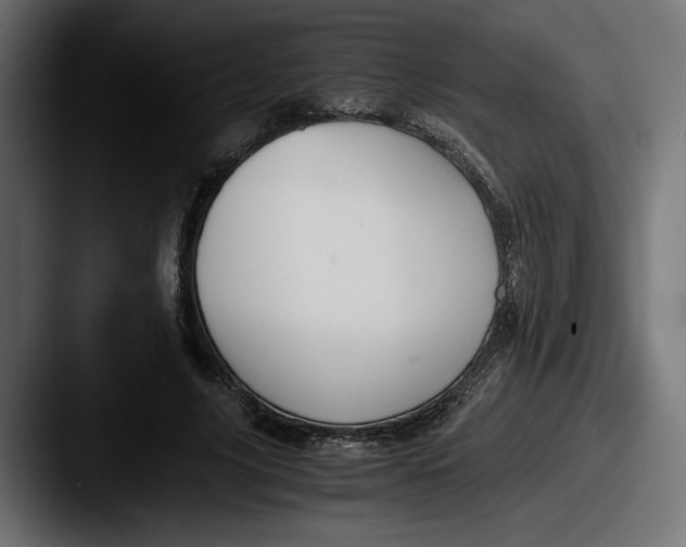 X0000087520635200705181013