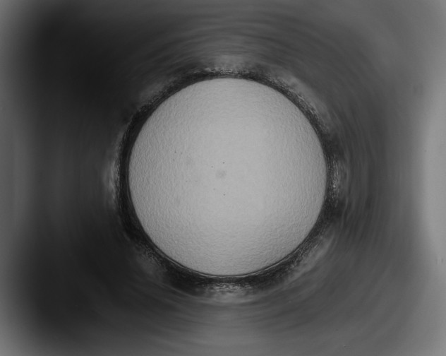 X0000087520636200705181013