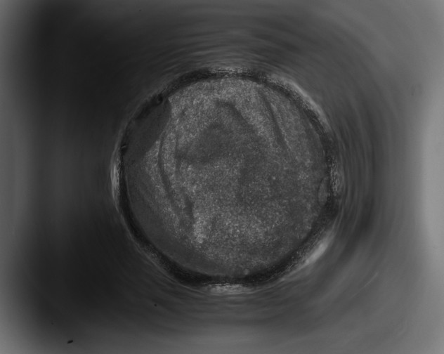 X0000087520637200705181013