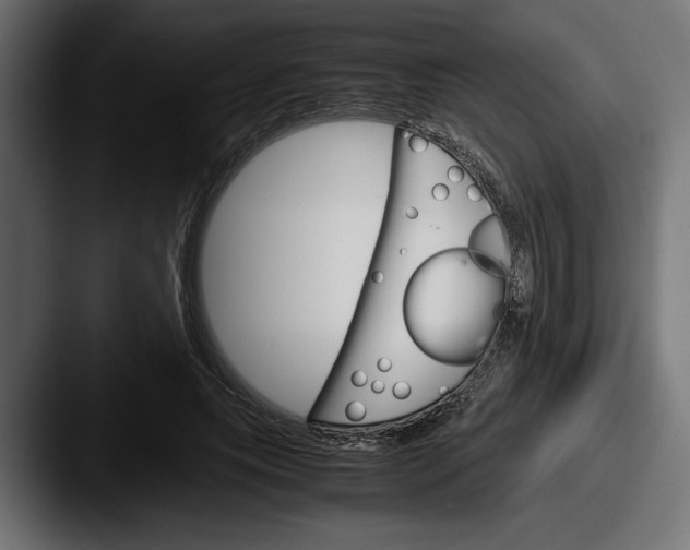 X0000087520639200705181013