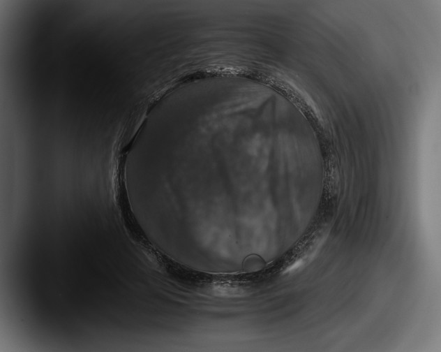 X0000087520641200705181013