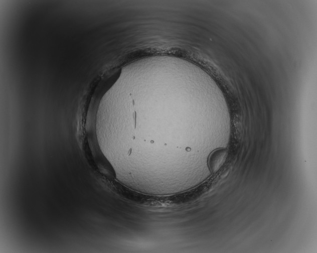 X0000087520642200705181013