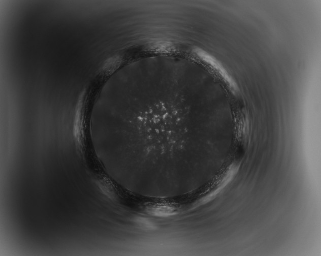 X0000087520643200705181013