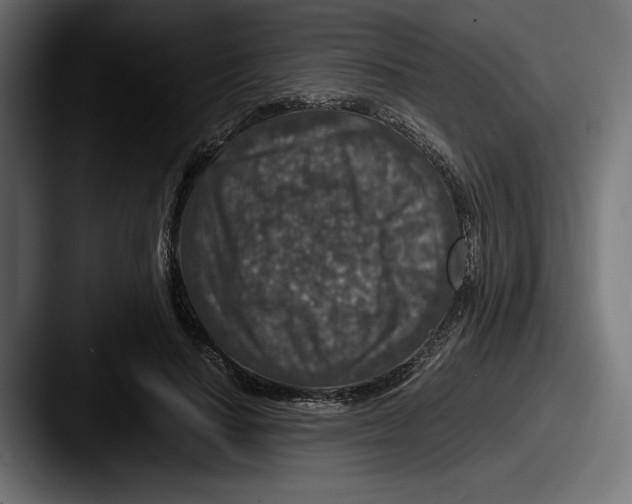 X0000087520644200705181013