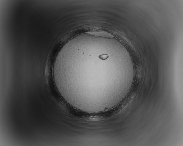 X0000087520645200705181013