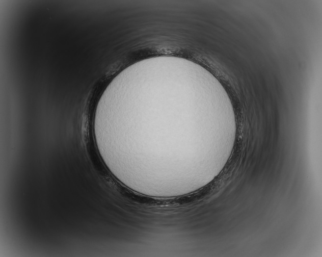 X0000087520646200705181013