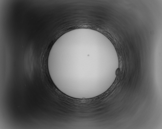 X0000087520647200705181013