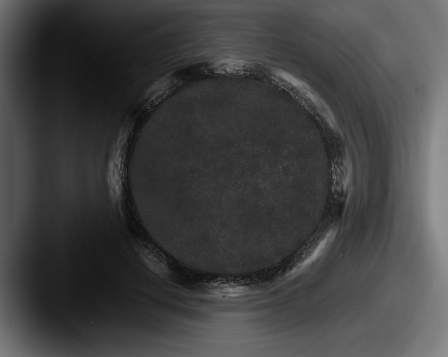 X0000087520648200705181013