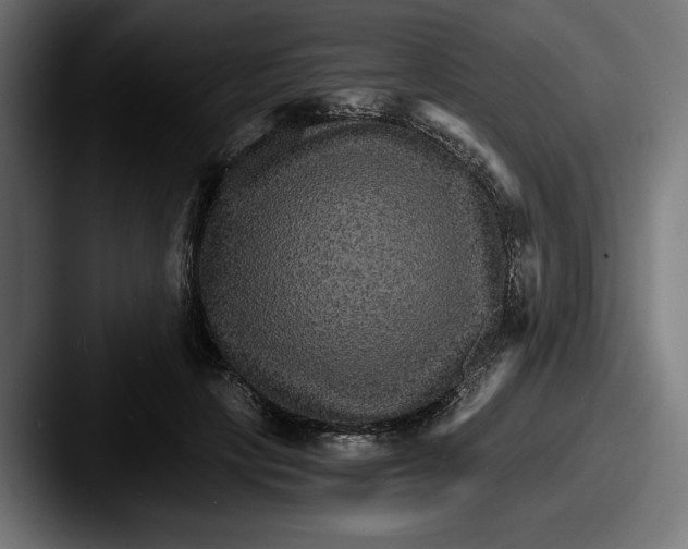 X0000087520649200705181013