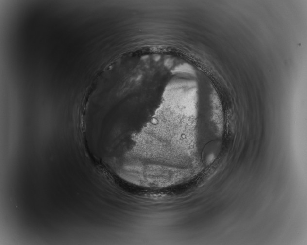 X0000087520650200705181013