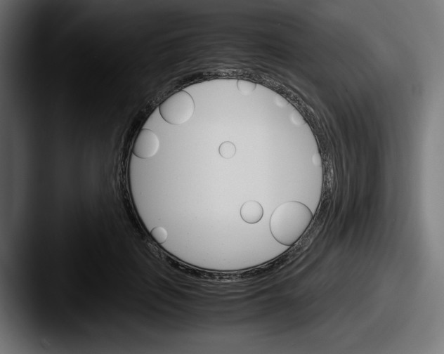 X0000087520651200705181013