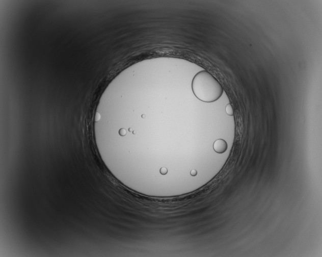 X0000087520653200705181013