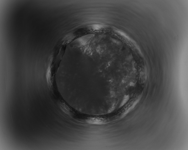 X0000087520654200705181013