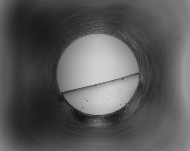 X0000087520655200705181013