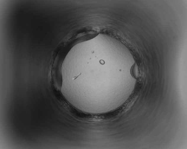 X0000087520656200705181013