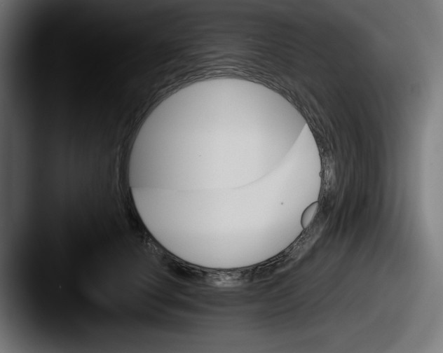 X0000087520660200705181013