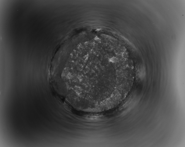 X0000087520661200705181013