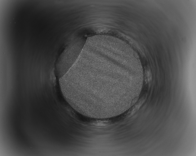 X0000087520664200705181013