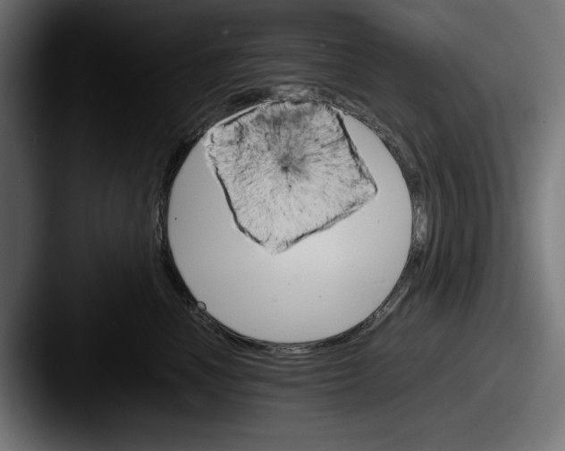 X0000087520666200705181013