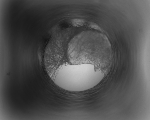 X0000087520667200705181013