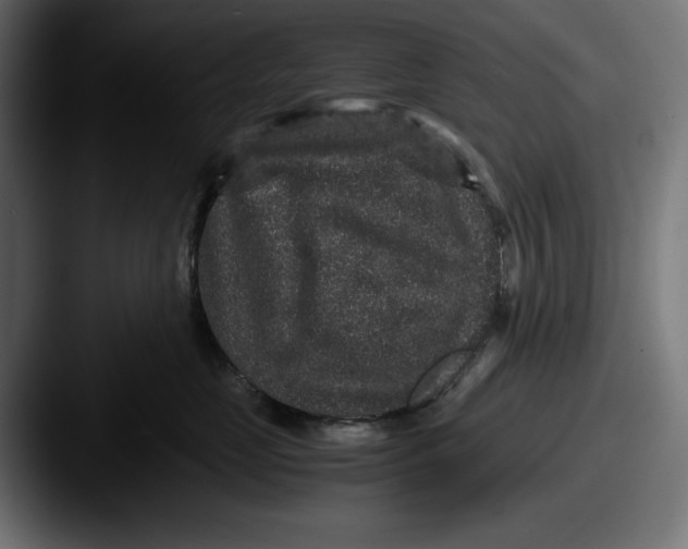 X0000087520669200705181013