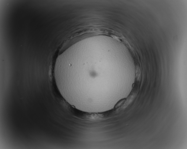 X0000087520670200705181013