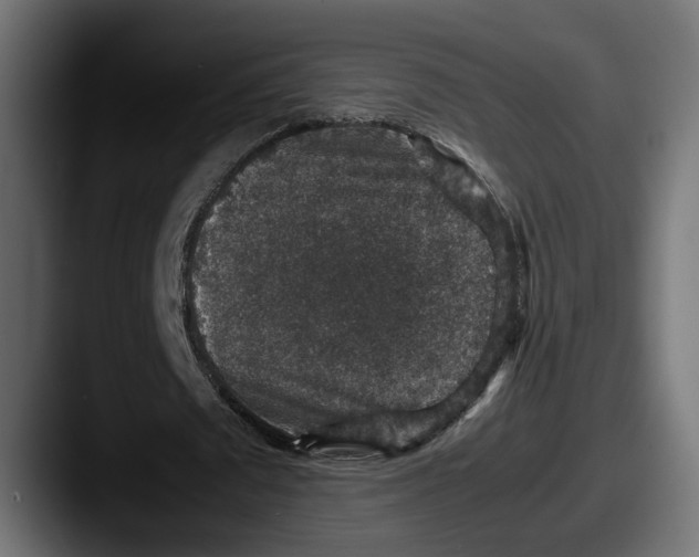 X0000087520673200705181013