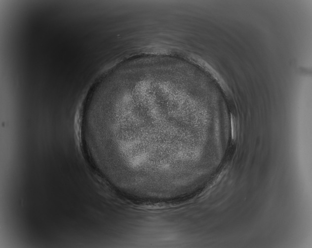 X0000087520675200705181013