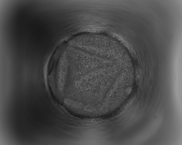 X0000087520679200705181013