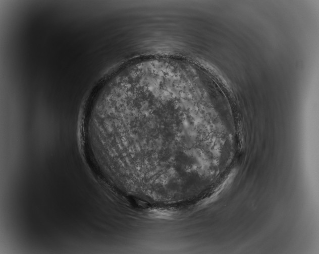 X0000087520680200705181013