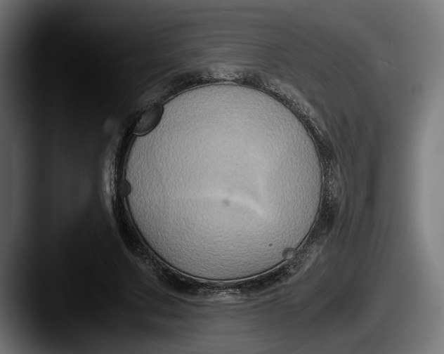 X0000087520683200705181013