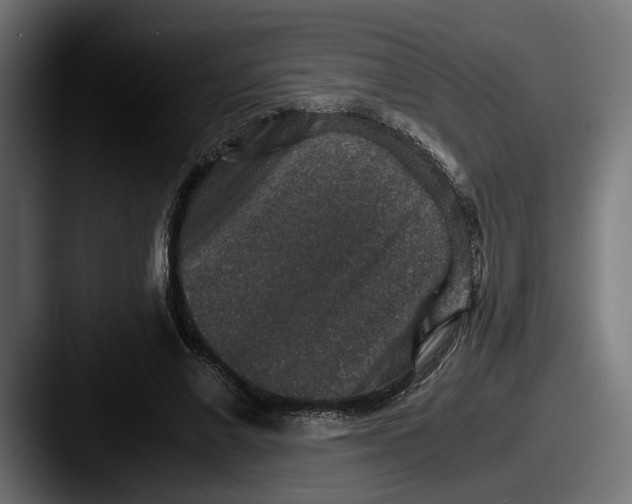 X0000087520685200705181013